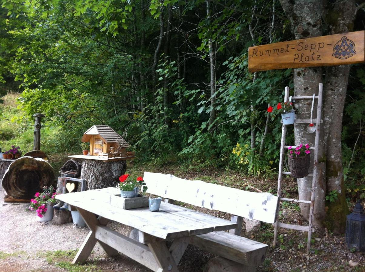 Ferienwohnung Waldblick Todtnau Exteriér fotografie