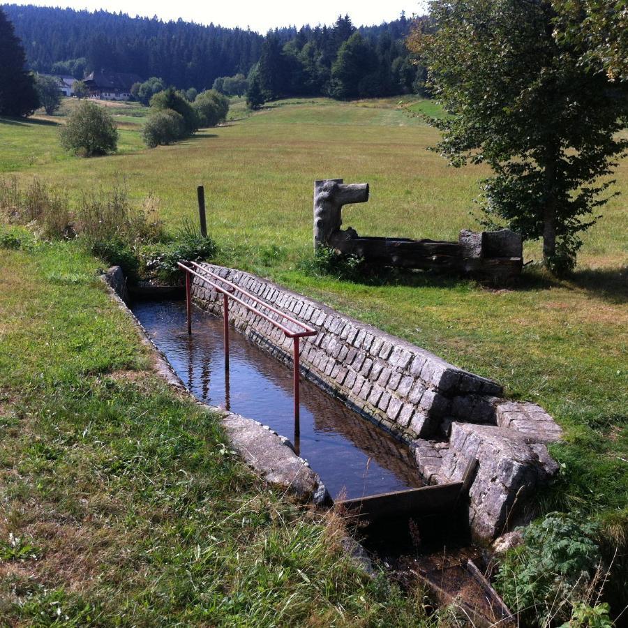 Ferienwohnung Waldblick Todtnau Exteriér fotografie